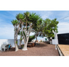 Country House in Fasnia, Tenerife