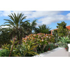 House in Buzanada, Tenerife